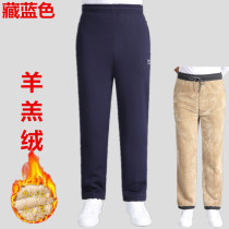 Autumn and winter elderly dad elastic waist sports pants men loose size plus velvet thick high waist straight tube grandpa trousers