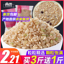 Shanggong New brown rice Yimeng Mountain rice Brown rice germ nutrition rice whole grains 500g