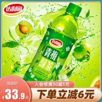 Dali Garden plum green Tea tea drink official sweet and sour 500ml*15 bottles full box summer fruity drink