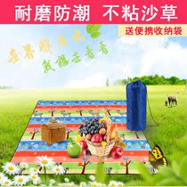 Picnic mat portable ins Wind floor mat moisture-proof mat thickened beach mat outdoor camping picnic mat thickened tent cloth