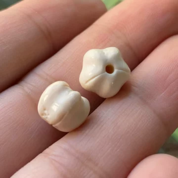 猛犸牙108颗-猛犸牙108颗促销价格、猛犸牙108颗品牌- 淘宝