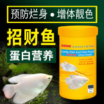 Derui lucky fish feed Lucky special fish food Map Fish feed Warship red black and white gold Ornamental fish Fish food