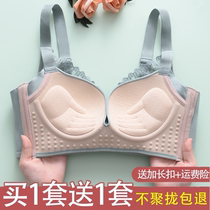 Happy Fox Underwear Women's Official Flagship Store Without Steel Rings Small Chest Gather on Adjusted Bra Set