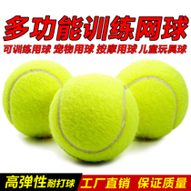 Tennis training ball Children training Tennis Dog Bite resistant Tennis Beginner High stretch exercise Massage fitness ball