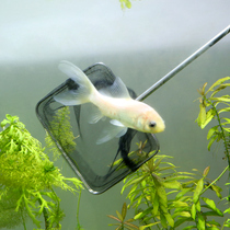 Fish tank fish fishing stainless steel square fish fishing net small goldfish ornamental fish fishing aquarium shrimp fishing