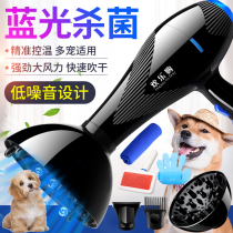 Pet hair dryer size power cat Teddy golden retriever dog big and small dog special pet shop Blower