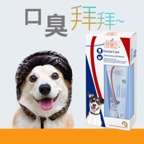 Boutique Trysee Pet Toothpaste Toothbrush Suit Dog Clean Mouth Deodorant supplies to protect teeth Tooth Cleaning Powder