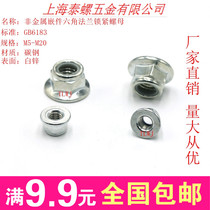 GB6183 M20 Hexagonal padded nylon lock nut Level 8 non-metallic insert Hexagonal flange face locking cap