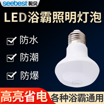 Shibei Yuba lighting 5W Middle waterproof and explosion-proof led light source Bathroom 275w heating E27 screw bulb