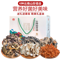 Yunnan wild mountain rare mushroom gift package wild fungus matsutake dry gift box specialty wholesale group purchase gift