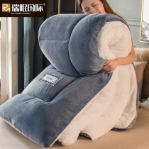 Lamb Suede Quilt Winter Quilt Cotton Quilt Thickened Warm Dormitory Single Student Autumn Winter Quilt Core Double Space Bedding