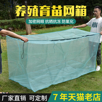 Nylon seedling cage fish box breeding net special storage fish small Loach crab rice eel fish pond escape net