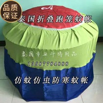 Thailand imported mosquito net fighting chicken training mosquito net fighting chicken training supplies cockfighting