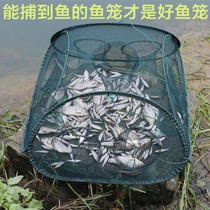 The ichthyosaur fish cage can only enter and not sprinkle fish nets fishing tools shrimp cages fishing shrimp nets fishing nets yellow eel cages