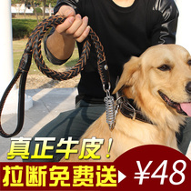 Medium and large dog dog leash with golden hair Labrador cowhide collar walking dog rope dog chain supplies