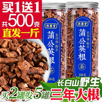 Dandelion root tea wild 500g Changbai Mountain black tea Pugongying tea fresh no special grade three years big root