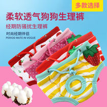 Dog clothes Pet physiological pants Teddy VIP menstrual panties Small and medium-sized dog physiological underwear dog pants head pants