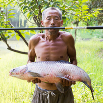 Fallais Black Pit Fishing Rod Carbon Fishing Rod Fishing Rod Super Light Ultra Hard Hand Rod Crucian Carp Rod Fishing Rod Fishing Rod Fishing Rod Fishing Rod Fishing Rod Fishing Rod Fishing Rod Fishing Rod Fishing Rod Fishing Rod Fishing Rod Fishing Rod Fishing Rod Fishing Rod Fishing Rod Fishing Rod