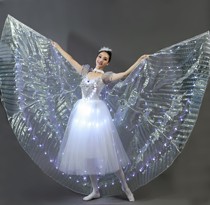 New luminous butterfly dance wings childrens clothing adult tutu LED luminous dance skirt performance suit