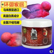 Malaysian sumo wrestler Arhat fish feed head and color head feed Fish food fish food 250g  