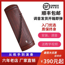 21-string small guzheng portable semi-Zheng teaching performance adult practice performance test beginner instrument instrument