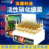 French Cody nitrifying bacteria fish tank aquarium water purification bacteria stable water quality light seawater trace elements