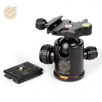 Light-loaded era tripod spherical pan-tilt SLR camera photography tripod Panoramic Ball slide rail pan-tilt