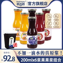Lan Bai Bei Wild Blueberry Cranberry Sea Buckthorn pulp Original flavor No added sugar Daxinganling 100% juice 6 bottles