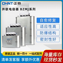 CHINT BZMJ (BSMJ) 0 4 0 45 Capacitor self-healing low voltage shunt power compensator 450V
