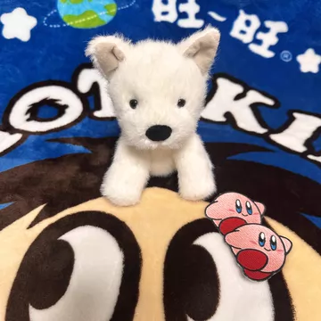 【限定・美品】ジェリーキャット 太空西高地白梗 宇宙飛行士 jellycat西高地狗-jellycat西高地狗促销价格、jellycat西高地狗品牌- 淘宝
