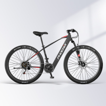 Phoenix booster pedal electric mountain bike male and female adult small electric car battery car motorcycle