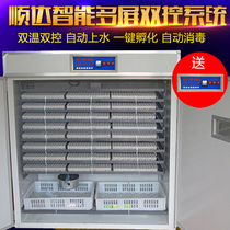 Shunda 2112 Automatic Incubator Household Incubator Large Medium and Small Hatching Equipment 3520 Chicken Duck and Goose Hatching