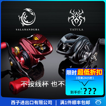 Dawa Water Drip wheel red spider DAIWA hits black spider small up to a Yiwa SV friction line fire lizard road subwheel