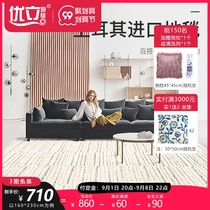 Uli imported living room coffee table carpet girl light luxury bedroom ins Wind gray dirt resistant mat large area whole shop