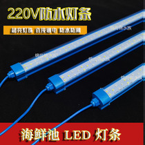 Seafood pool light LED light bar 220V directly connected to the hotel fish pond lighting Seafood tank accessories light strip light bar