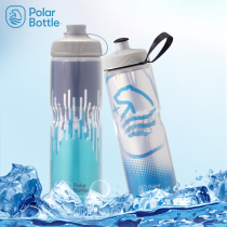 American Polar bear riding kettle Road mountain bike cold water cup Outdoor mountaineering riding sports water cup