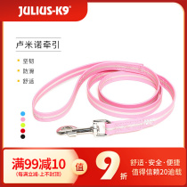 Julius K9 fluorescent rubber anti-explosion allured dog with double head traction rope Europe imported pet supplies