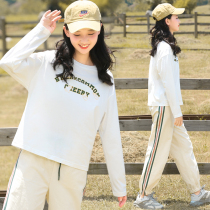 Junior high school students autumn dress round neck sweater girl Big Boy long sleeve T-shirt high school girl spring autumn coat loose ins