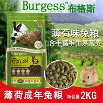 New batch of 22 years British Burgess Bugus mint high fiber adult rabbit grain 2kg pet lop-eared rabbit feed