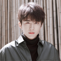Net red with handsome wig male short straight hair fluffy Korean version realistic fashion student mens hairstyle whole top hair set