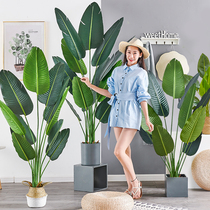 Large Nordic simulation plant Bird of paradise simulation flower Traveler banana Indoor fake potted green plant ins wind ornaments tree