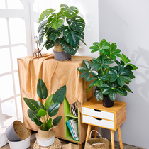 Nordic living room simulation green plant potted small plant fake flower desk ins small potted plant ornaments creative home