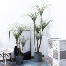 Large simulation green plant dragon blood tree Nordic bionic bonsai plant millennial Wood living room landing fake potted horsetail iron