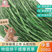 21 years of drying Timothy grass rabbit grass Dutch pig grain Hay forage rabbit forage North food 500g