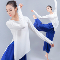 Dance practice clothes female Latin long sleeve shape classical body ballet training bodybuilding modern dance wide leg suit