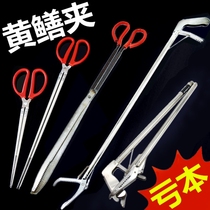 Finless eel holder eel pliers catch fish loach lobster yellowish crab clips to catch seafood clip tongs home with fish