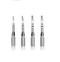 Ultrasonic scaler Special working head Dental scaler Special working head Dental scaler Special working head Dental scaler Special working head