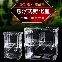 Guppies breeding box fish tank non-acrylic isolation box extra-large spawning hatching delivery room small fry young fish