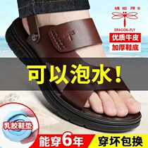 Red Dragonfly Genuine Leather Sandals Men 2022 Summer New Soft Bottom Thick Bottom Massage Cushion External Wearing Anti-Slip Sandals