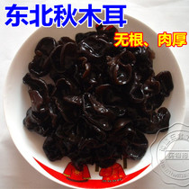 Northeast autumn fungus 250 grams second piece minus 5 yuan